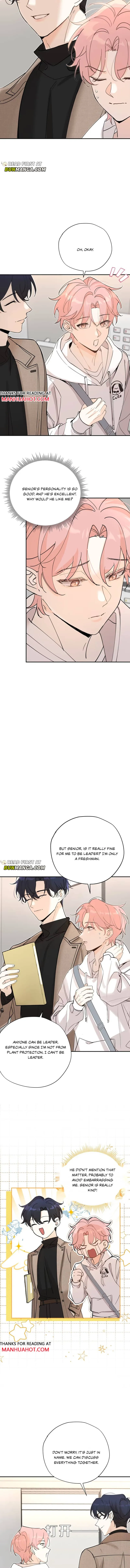Kiss the Rose Gently Chapter 2 page 5 - 