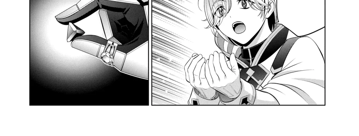Kizoku Tensei - Megumareta Umare kara Saikyou no Chikara o Eru Chapter 33.6 page 8 - 