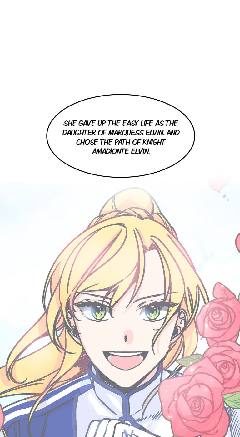 Knight in Flight Chapter 5 page 41 - 