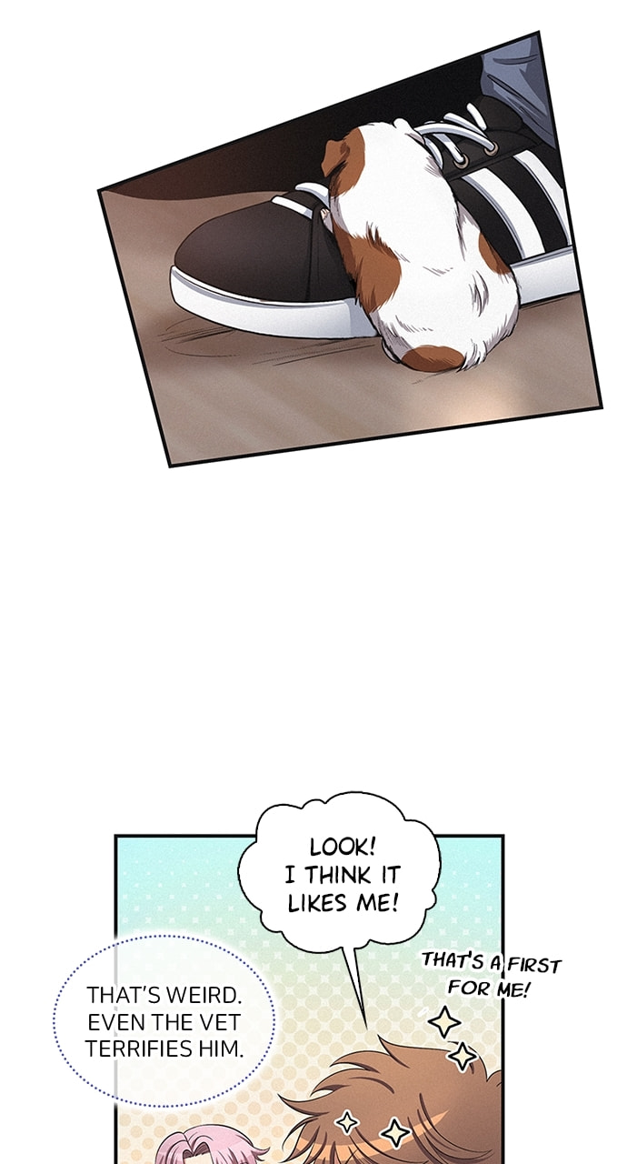 K.O. Chapter 23 page 41 - 