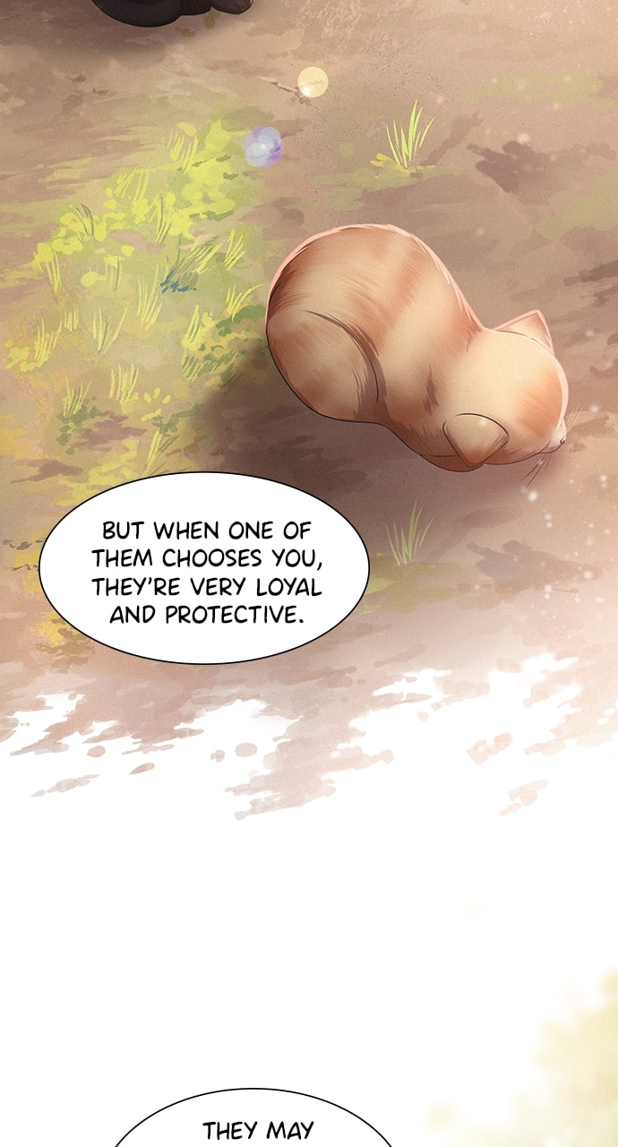 K.O. Chapter 41 page 43 - 