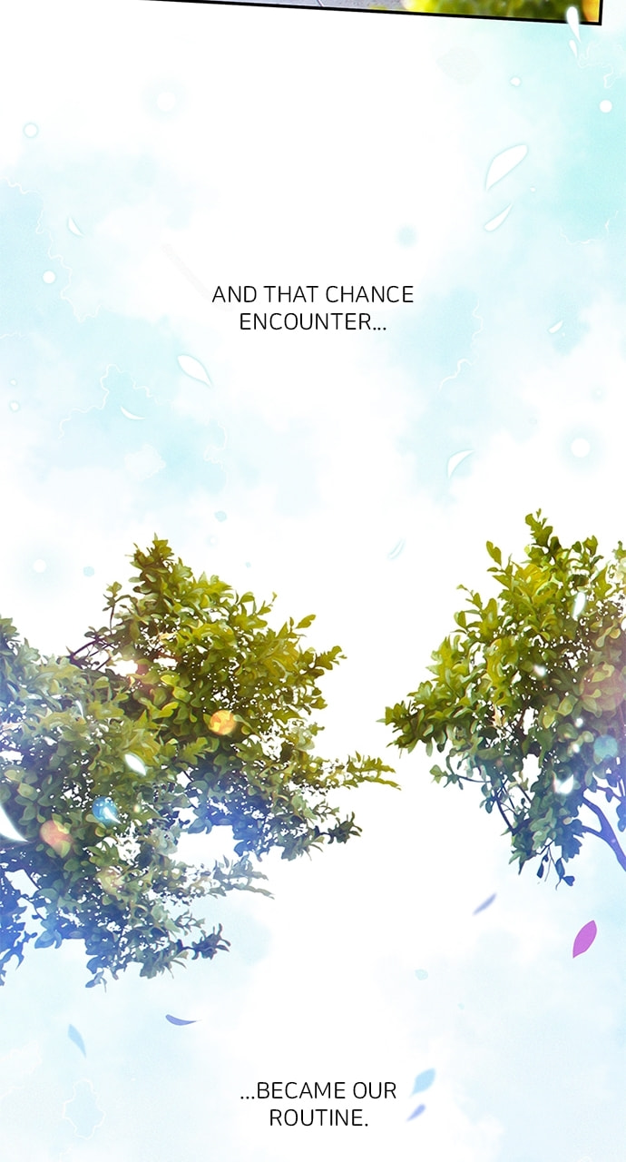 K.O. Chapter 69 page 36 - 