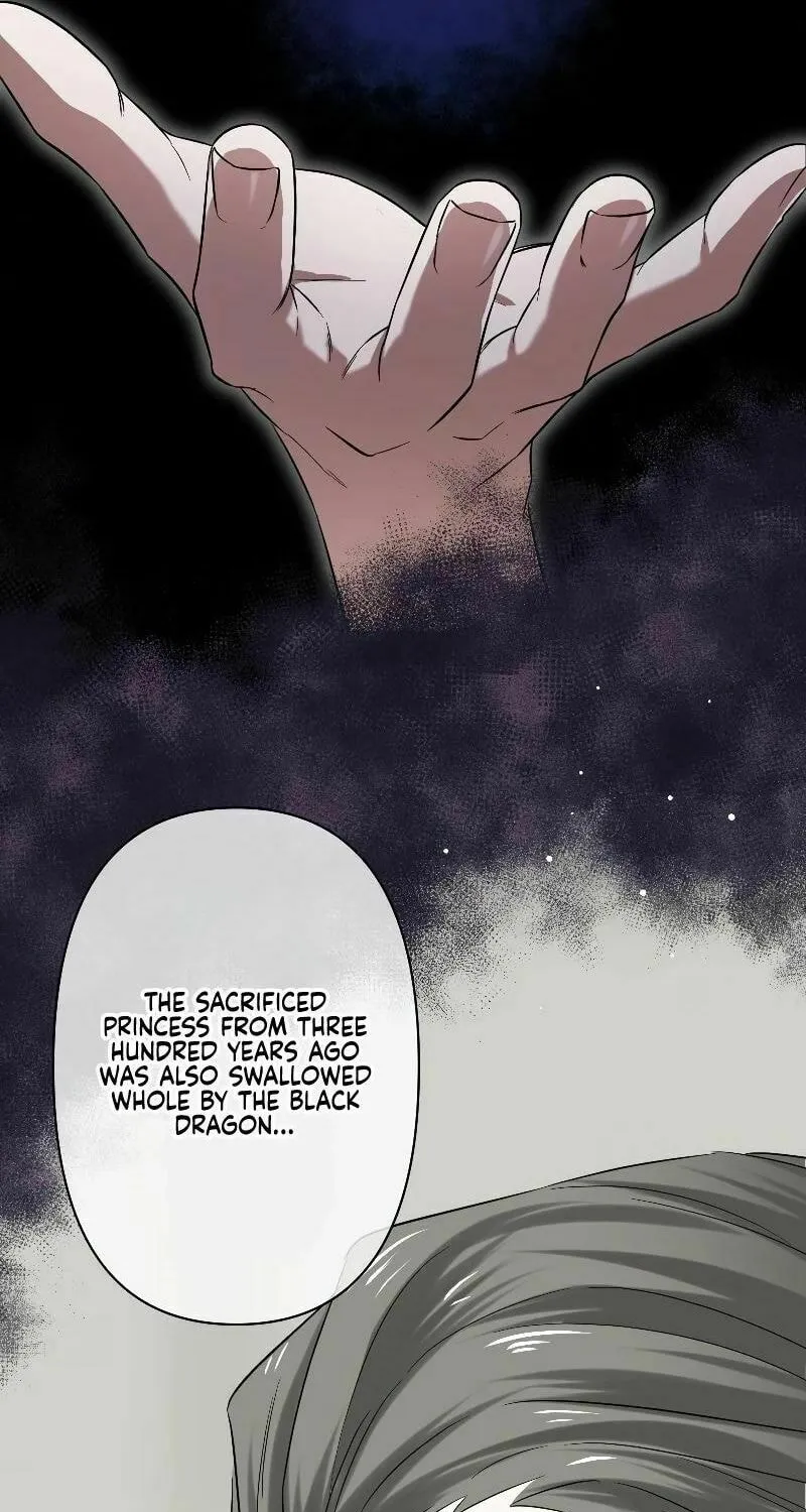 Koe Naki Niehime to Kokuryuu no Kekkon Chapter 2 page 13 - 