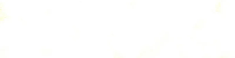 Koe Naki Niehime to Kokuryuu no Kekkon Chapter 52 page 45 - 