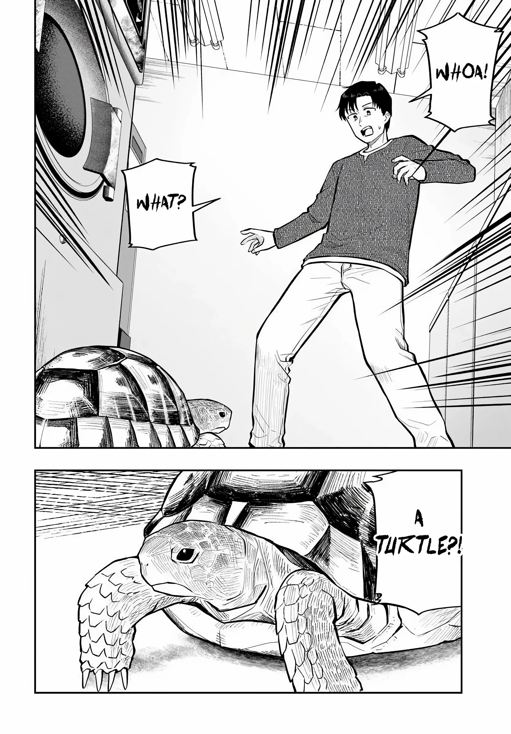 Kon