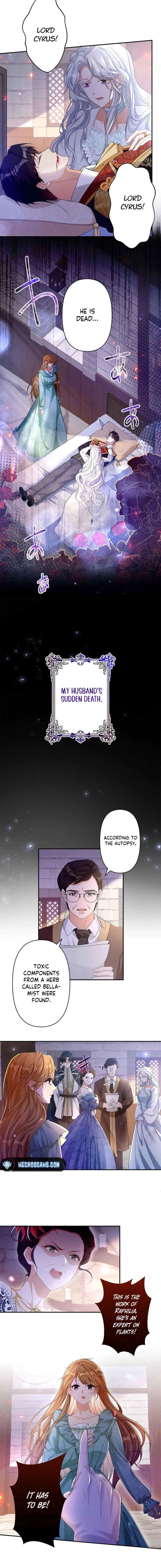 Konin Jokou: Konse wa Rikon kara Hajimeru Hazu ga Ouji ni Shuuchaku Sareteimasu Chapter 1 page 9 - 