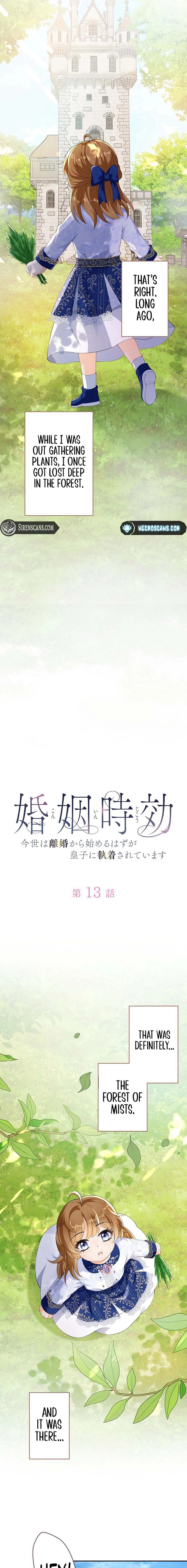 Konin Jokou: Konse wa Rikon kara Hajimeru Hazu ga Ouji ni Shuuchaku Sareteimasu Chapter 13 page 5 - 