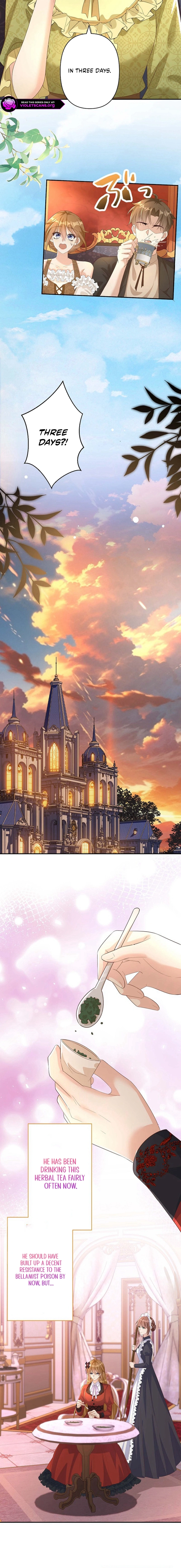 Konin Jokou: Konse wa Rikon kara Hajimeru Hazu ga Ouji ni Shuuchaku Sareteimasu Chapter 22 page 9 - 