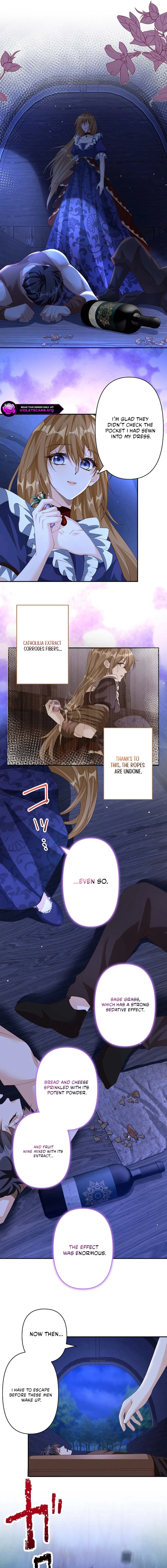 Konin Jokou: Konse wa Rikon kara Hajimeru Hazu ga Ouji ni Shuuchaku Sareteimasu Chapter 27 page 9 - 
