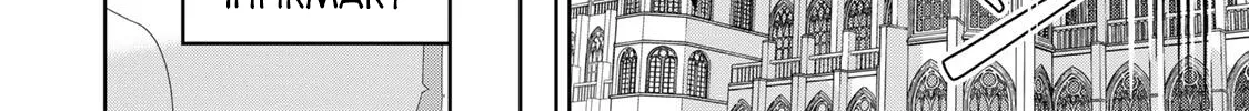 Koujo Tensei: Densetsu no Dai Madoushi (♂), Hime Kishi to Narite Densetsu no Reijou Kishidan o Tsukuri Musou Suru Chapter 13 page 8 - 