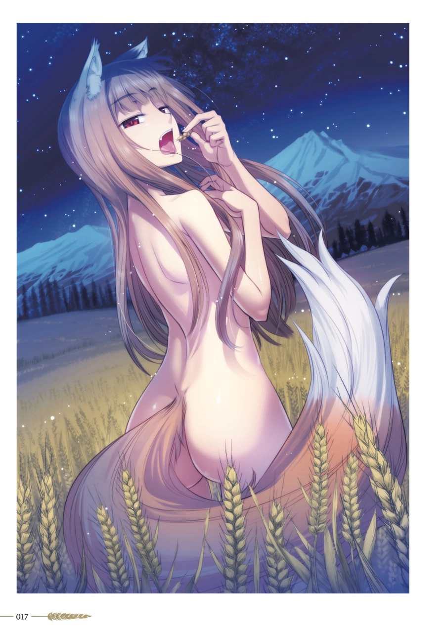 Koume Keito Gashuu - Ookami to Koushinryou: Juunenme no Ringoshu Chapter 0 page 18 - 