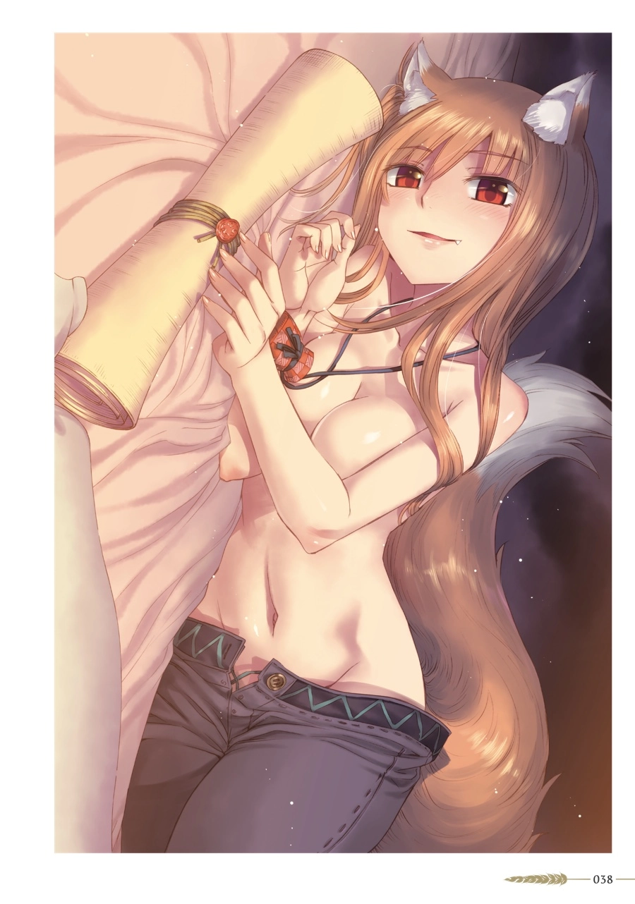 Koume Keito Gashuu - Ookami to Koushinryou: Juunenme no Ringoshu Chapter 0 page 38 - 