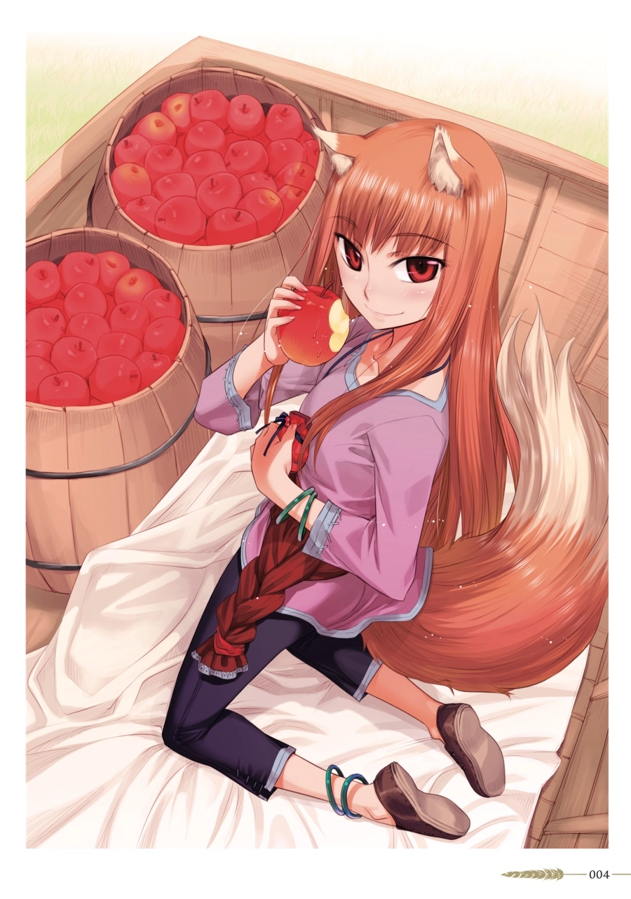 Koume Keito Gashuu - Ookami to Koushinryou: Juunenme no Ringoshu Chapter 0 page 5 - 