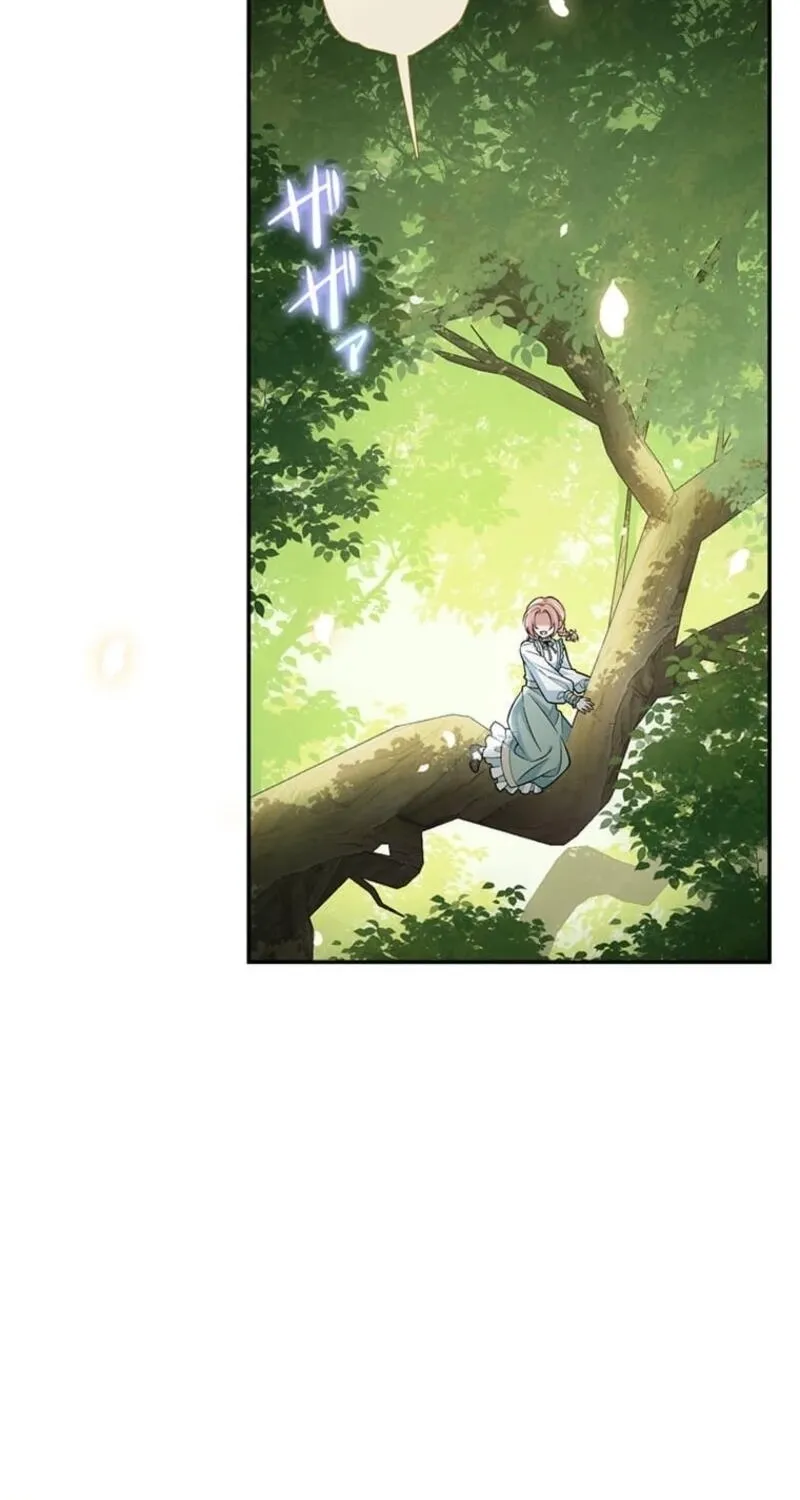 Koushaku Fujin wa Furin o Kimemashita Chapter 1 page 3 - 