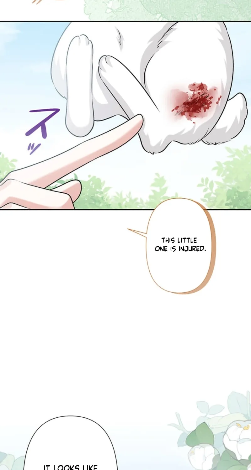 Koushaku Fujin wa Furin o Kimemashita Chapter 14 page 8 - 