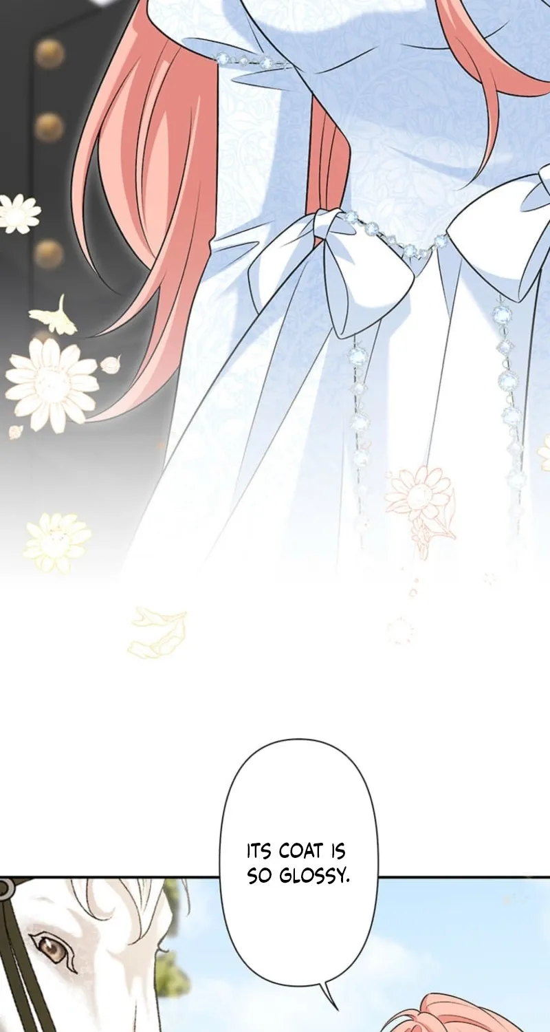 Koushaku Fujin wa Furin o Kimemashita Chapter 17 page 36 - 