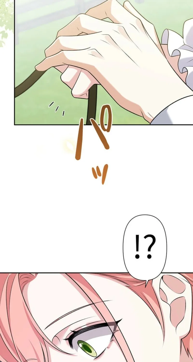 Koushaku Fujin wa Furin o Kimemashita Chapter 20 page 44 - 