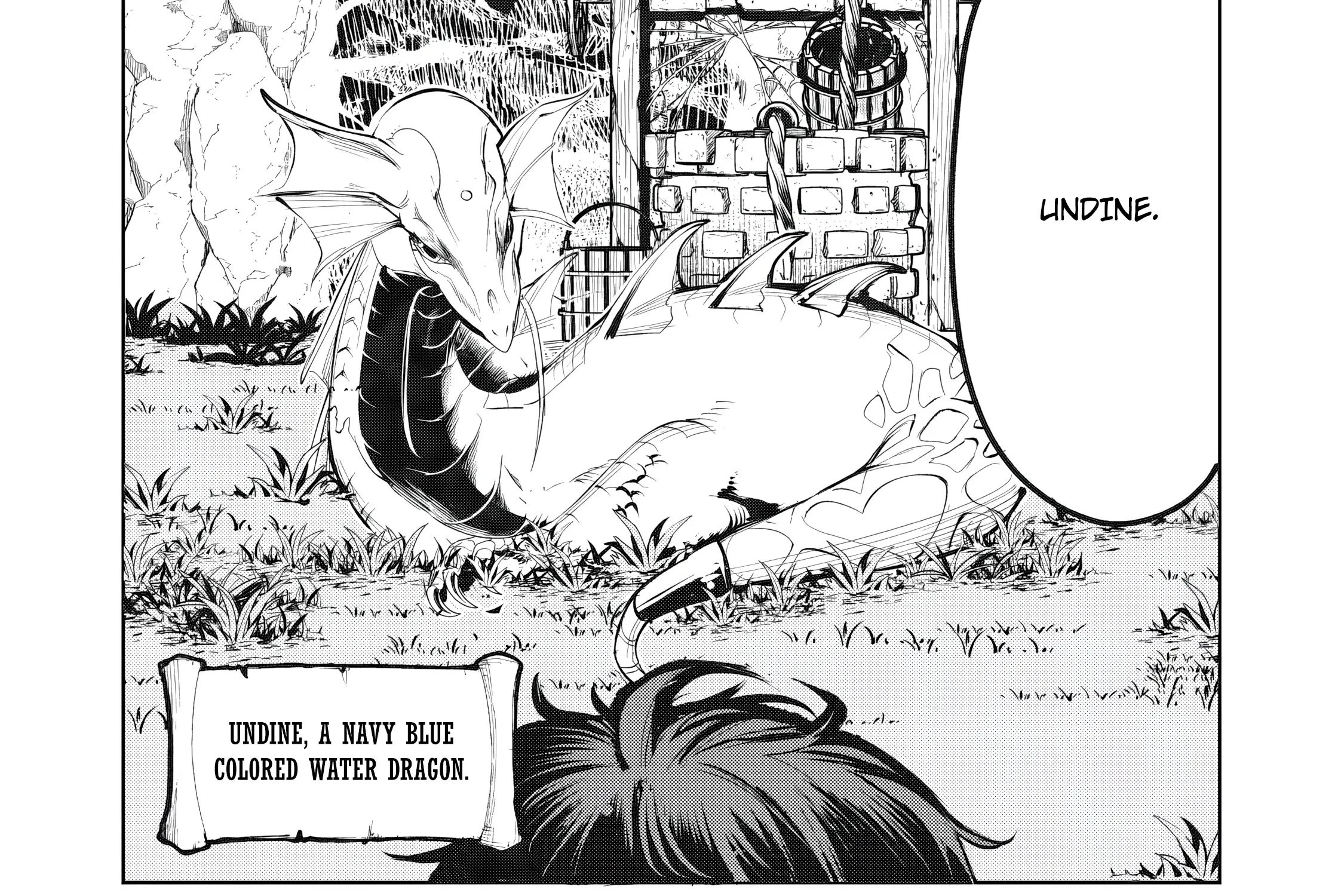 Kuni wo Owareta Ryuushi-san, Hirowareta Ringoku de Ukkari Musou shite Shimau. Chapter 5 page 21 - 