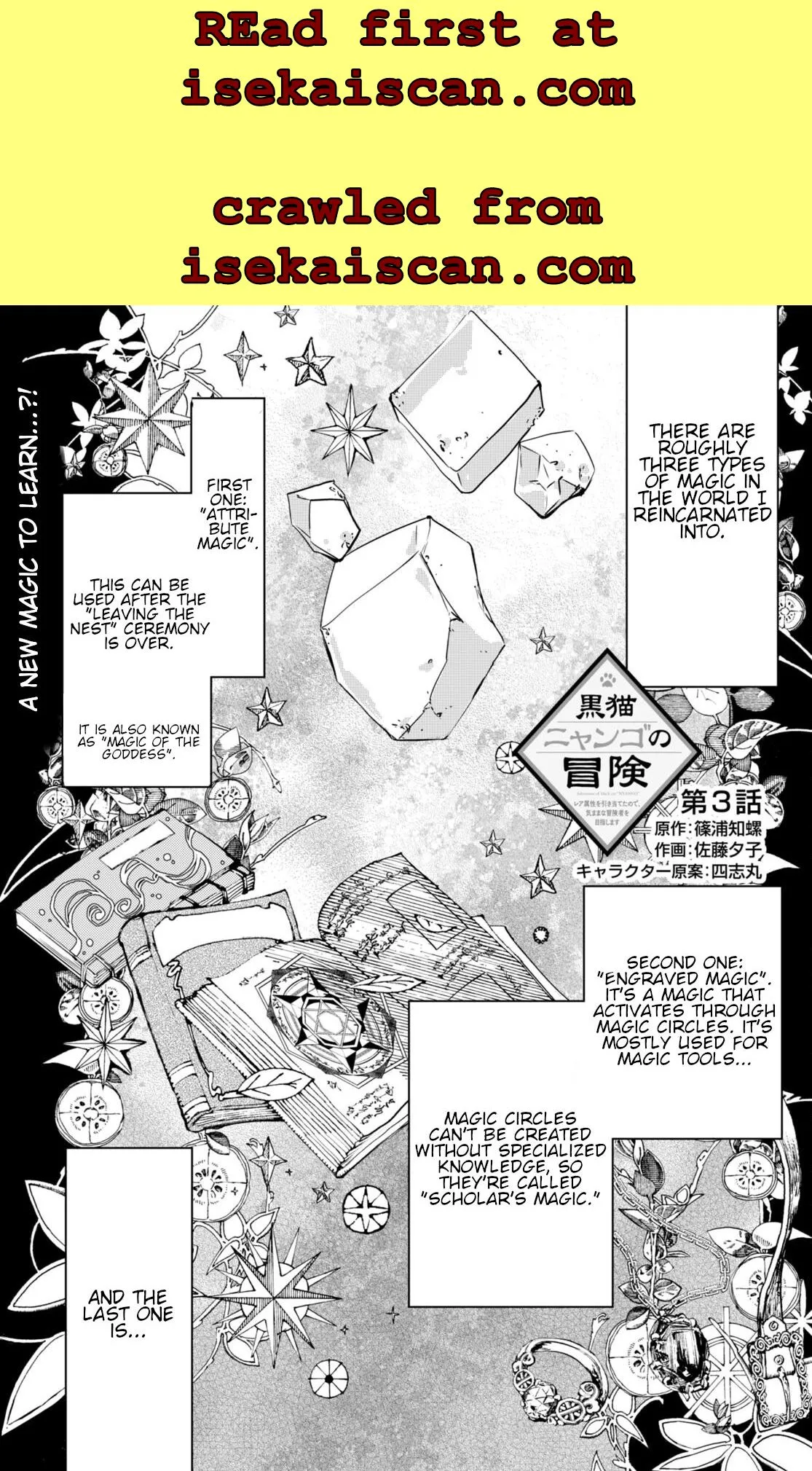 Kuroneko Nyango no Bouken ~ Rare Zokusei o Hikiatetanode, Kimamana Bouken-sha o Mezashimasu ~ Chapter 3 page 2 - 
