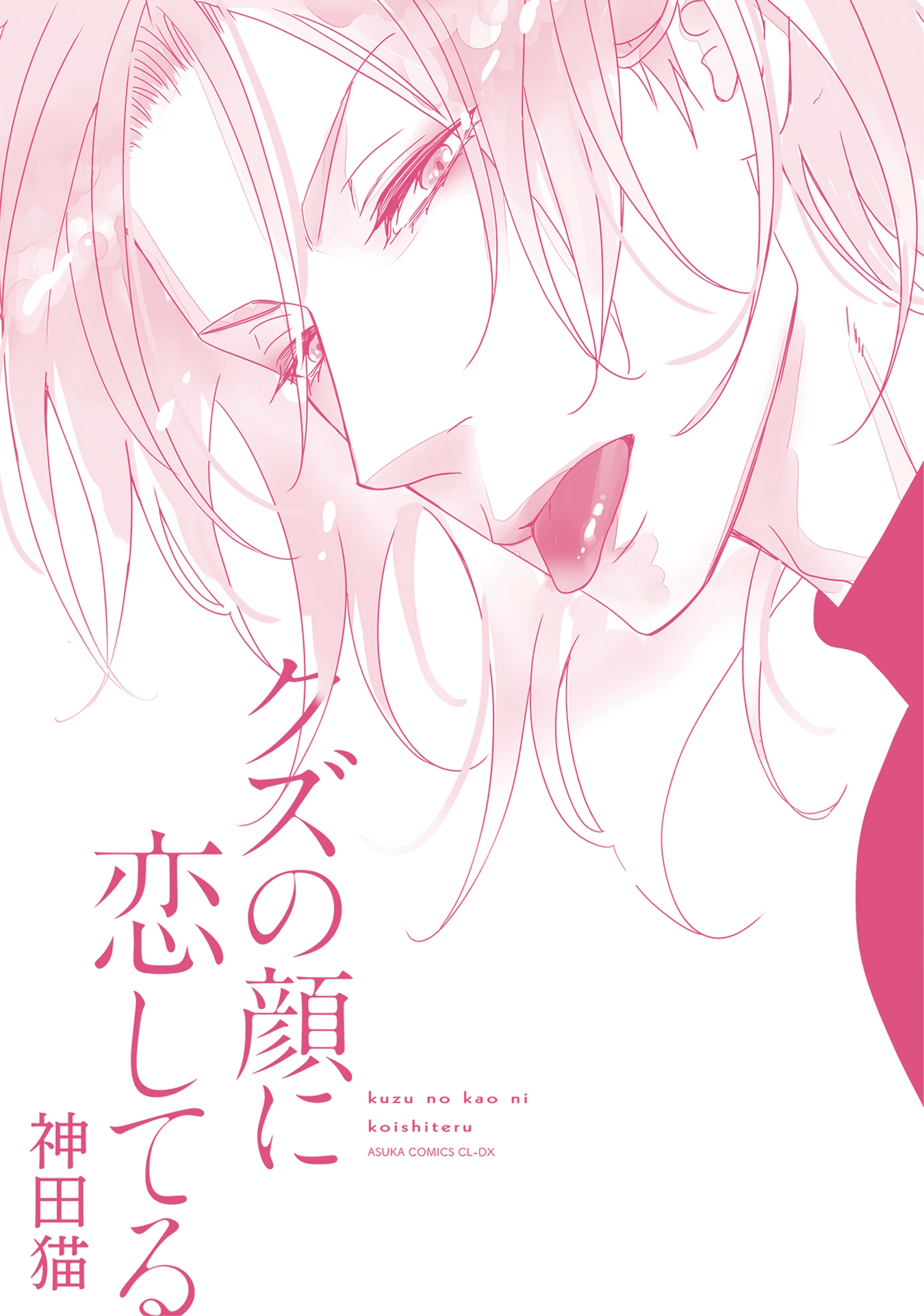 Kuzu no Kao ni Koishiteru Chapter 5.5 page 13 - 