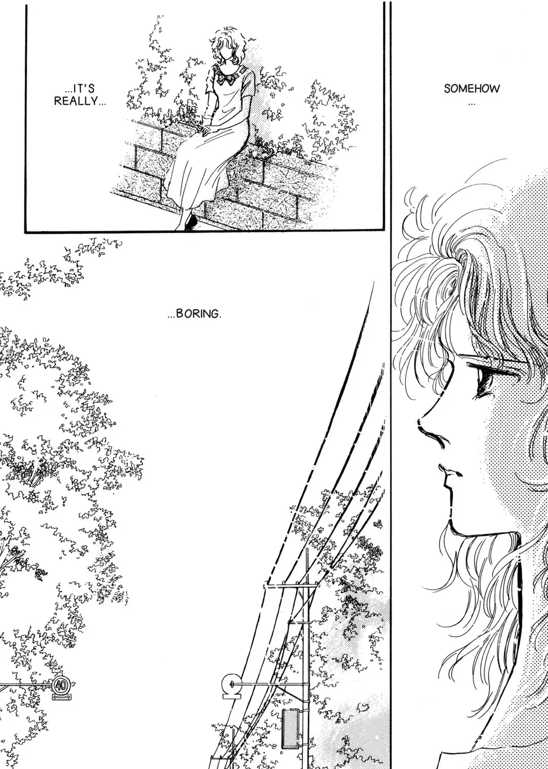 Kyoko Shimazu Author