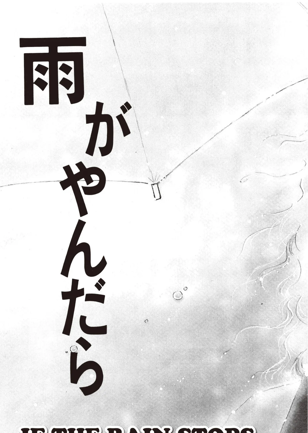Kyoko Shimazu Author