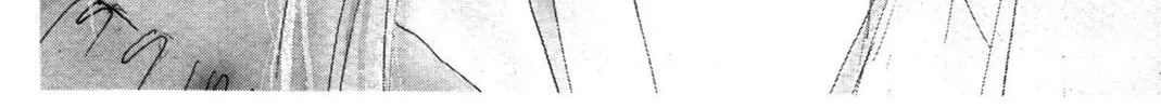 Kyoko Shimazu Author