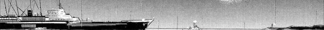 Kyoko Shimazu Author