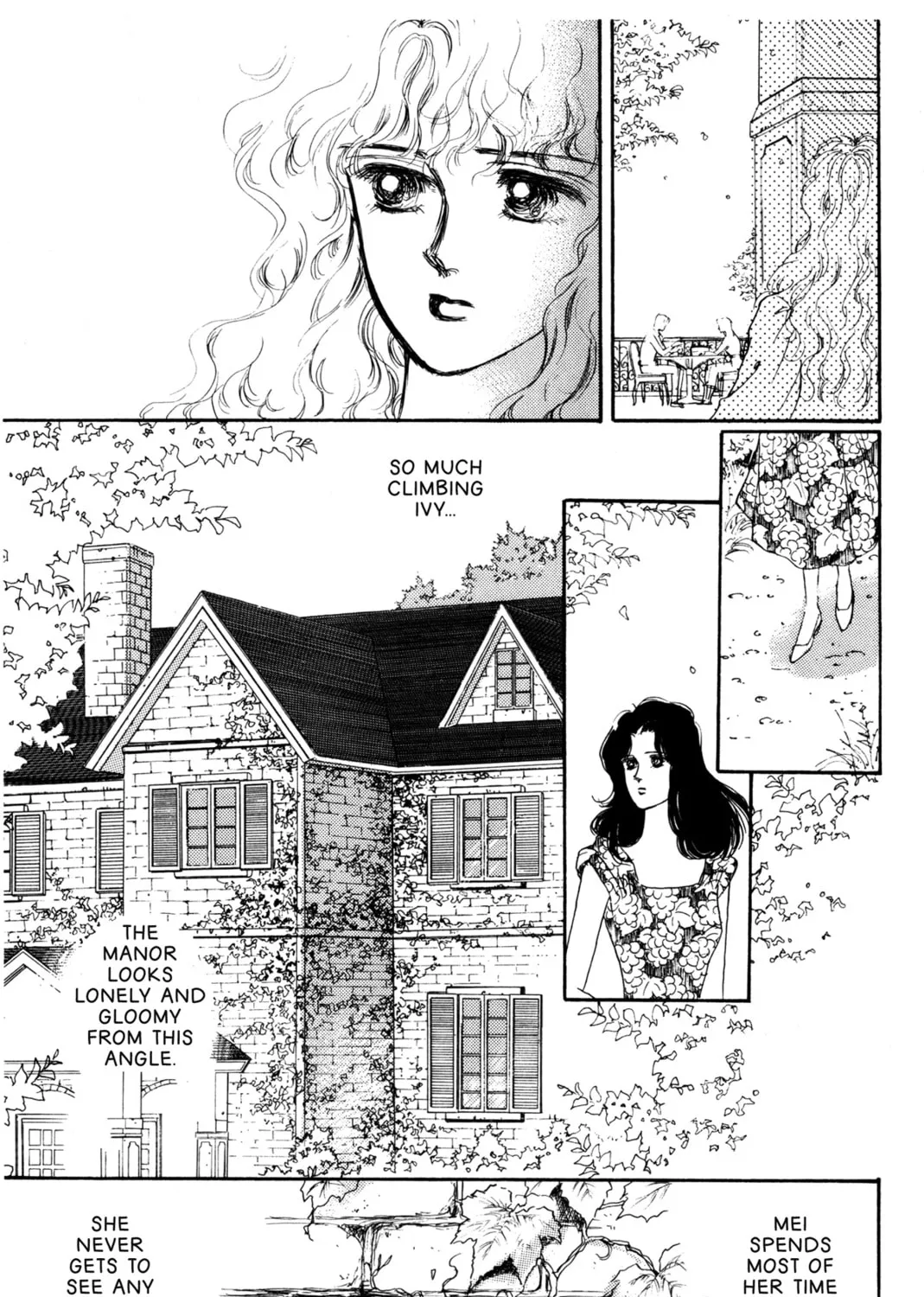 Kyoko Shimazu Author