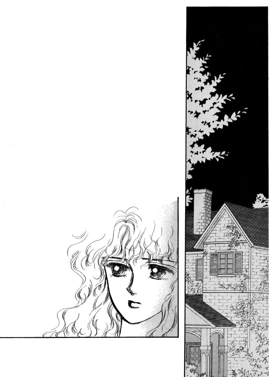 Kyoko Shimazu Author