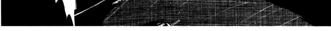 Kyoko Shimazu Author