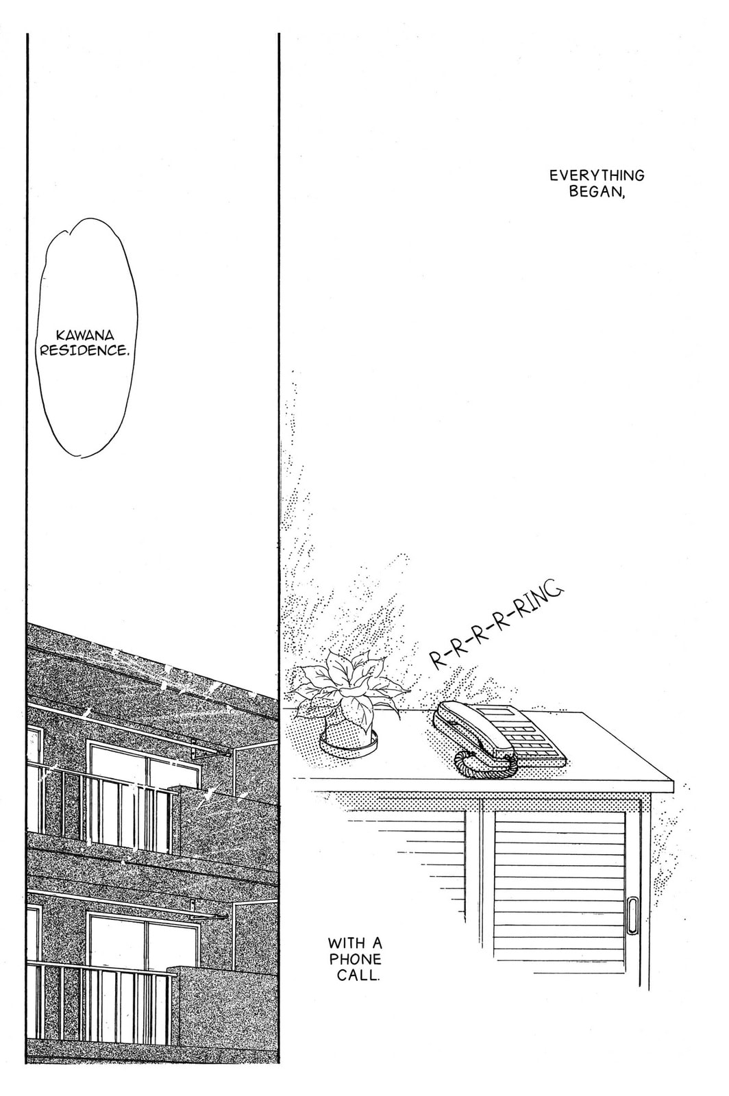 Kyoko Shimazu Author