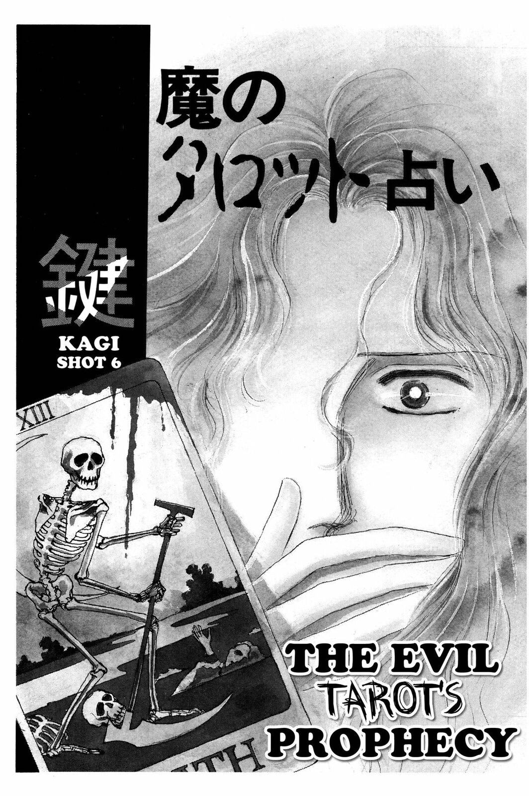 Kyoko Shimazu Author