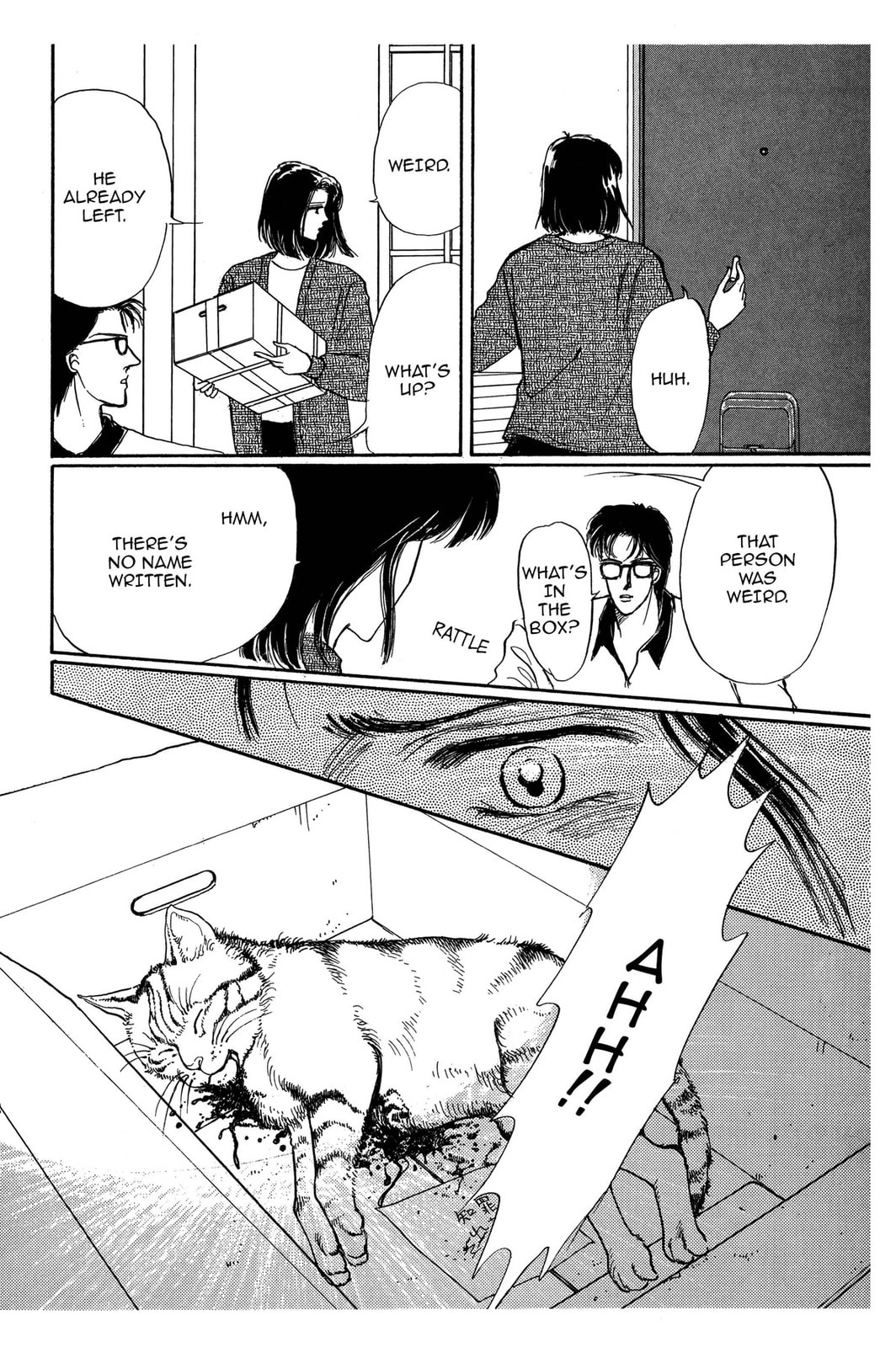 Kyoko Shimazu Author