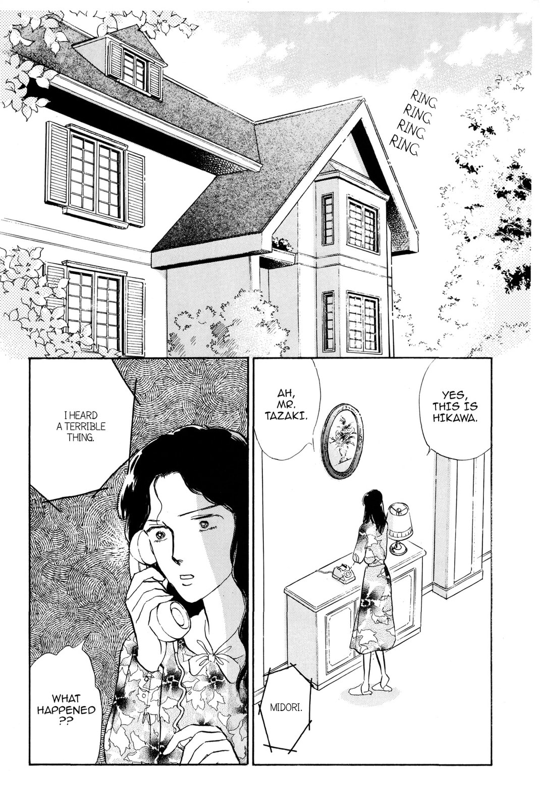 Kyoko Shimazu Author
