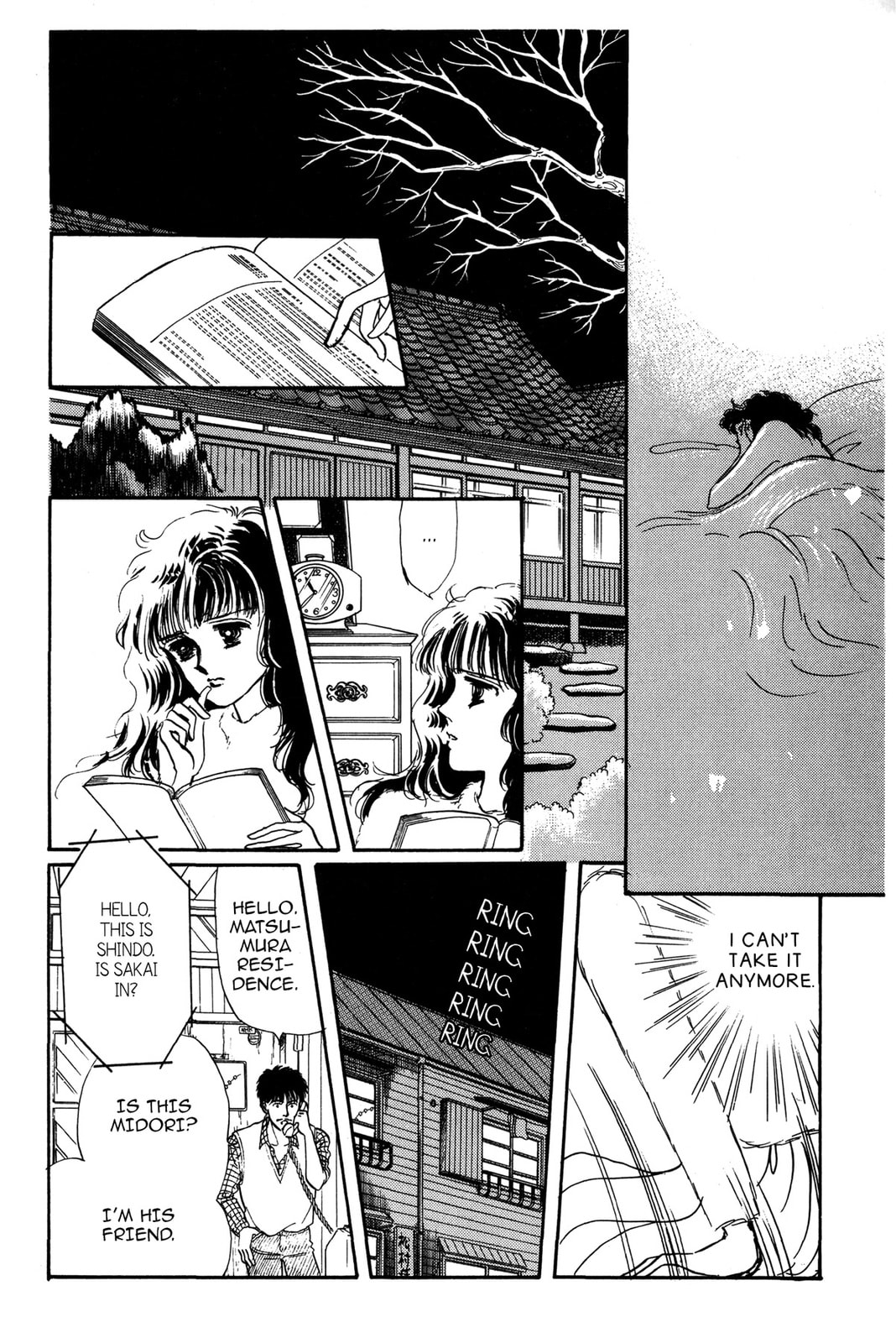 Kyoko Shimazu Author