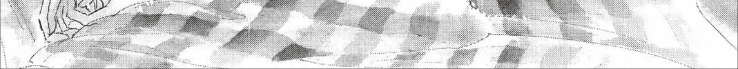 Kyoko Shimazu Author
