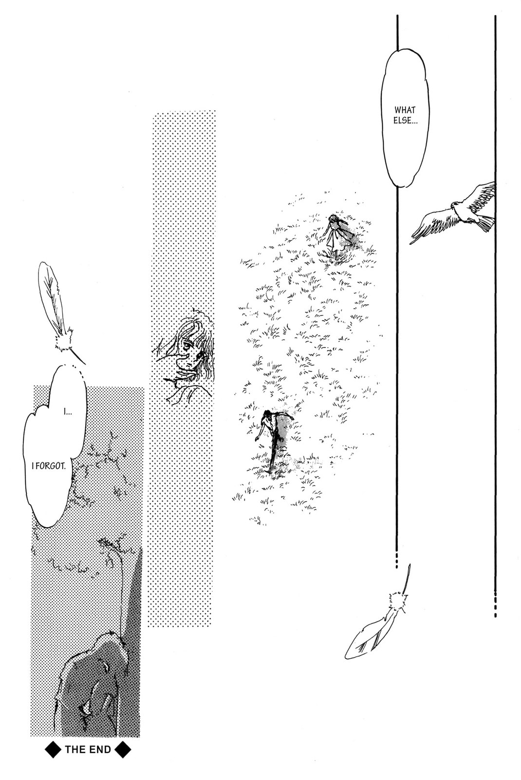 Kyoko Shimazu Author