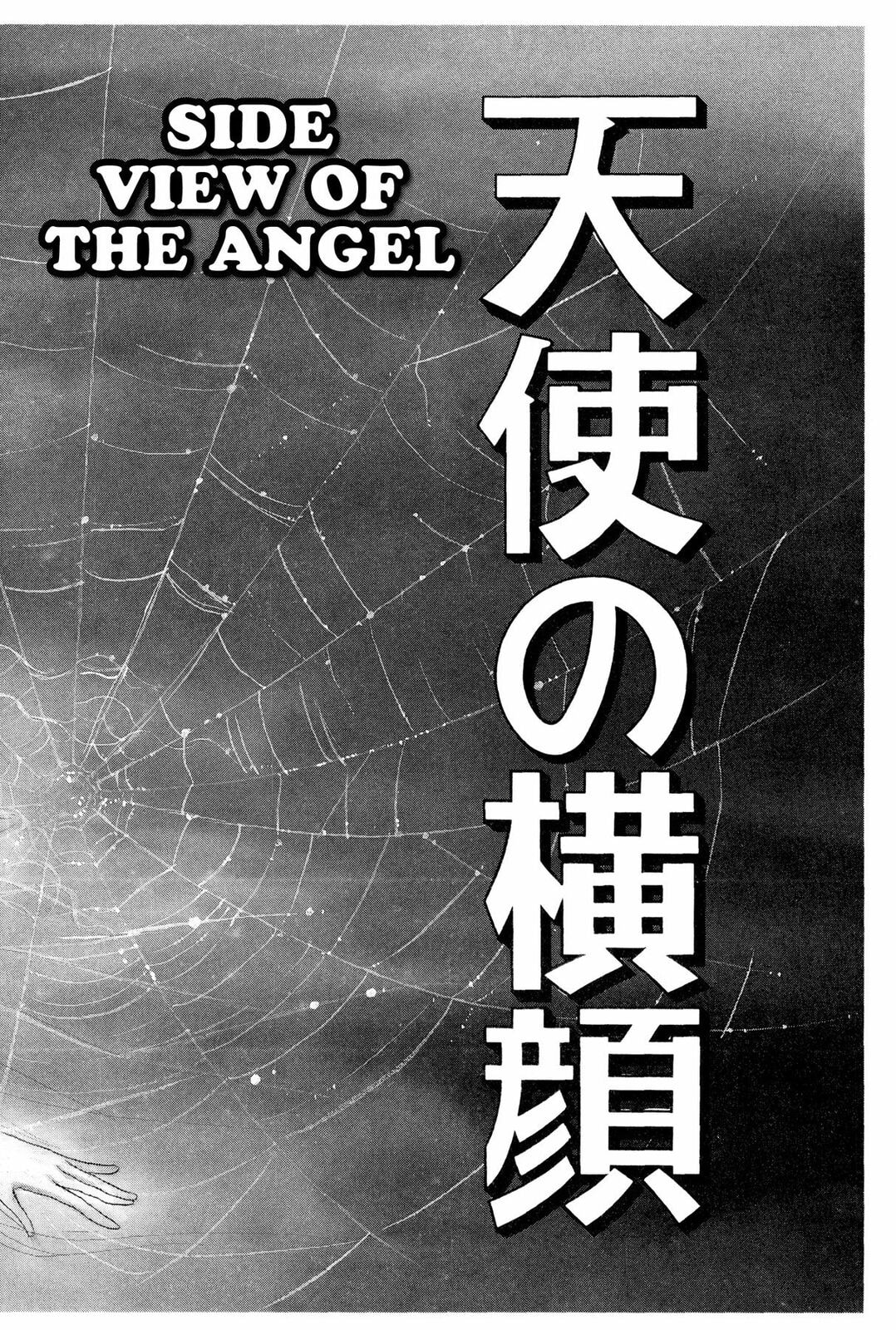 Kyoko Shimazu Author