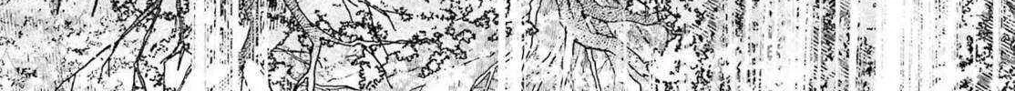 Kyouganeke no Hanayome Chapter 15 page 65 - 