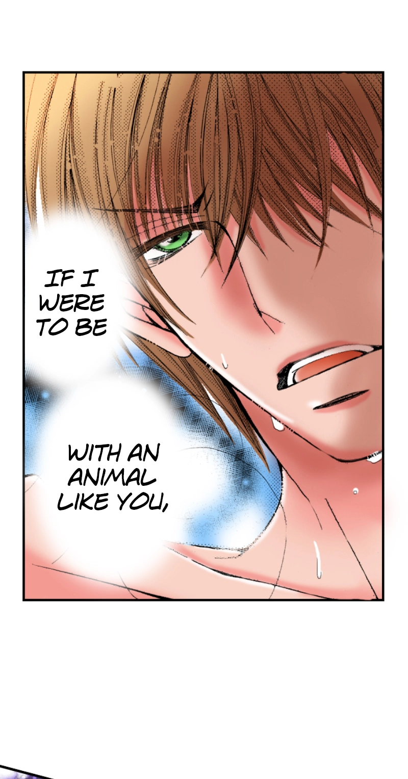 Kyousei Kekkon - Gaten Nikushoku Danshi x Interi Soushoku Joshi Chapter 10 page 19 - 