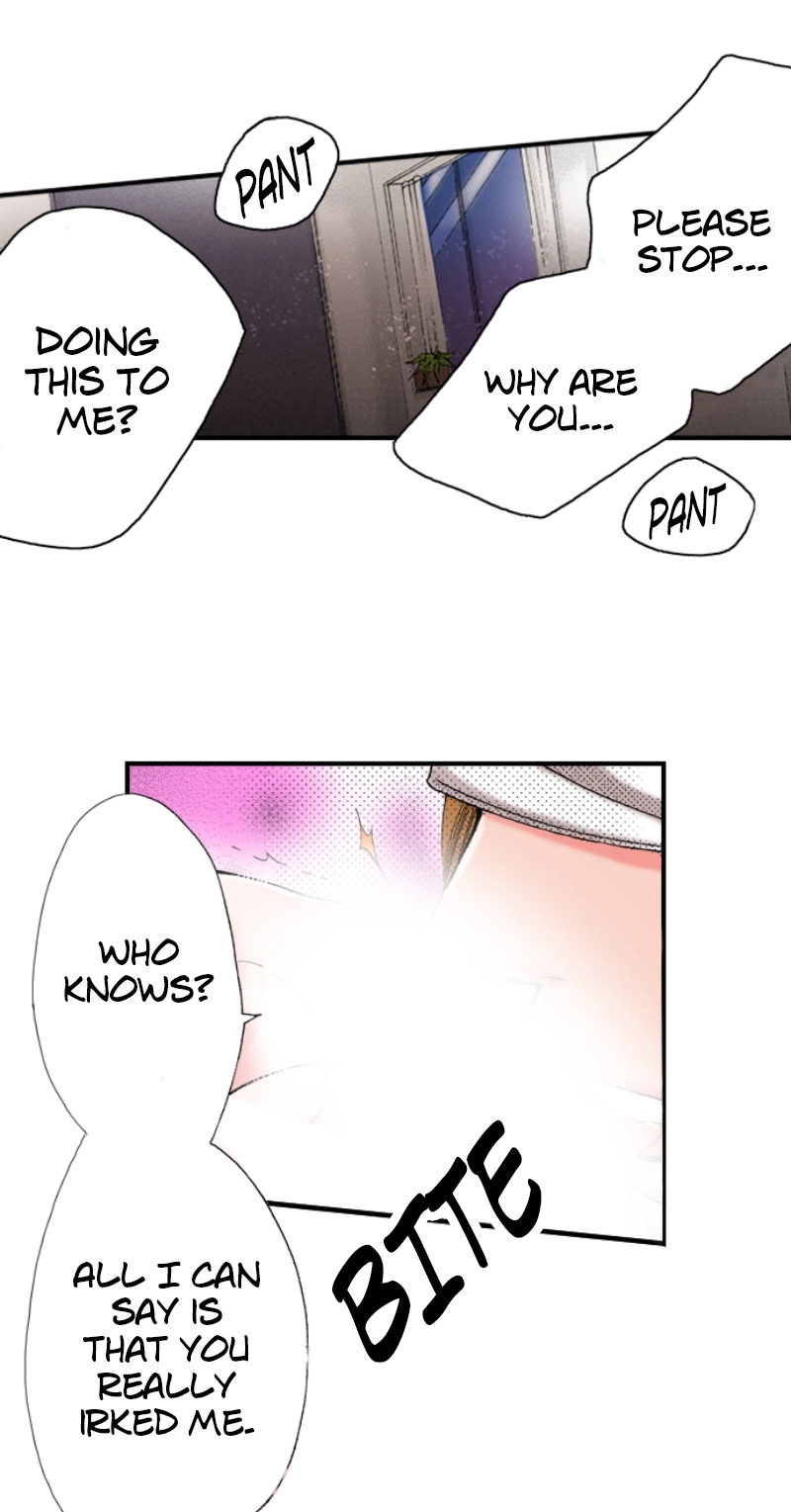 Kyousei Kekkon - Gaten Nikushoku Danshi x Interi Soushoku Joshi Chapter 10 page 9 - 