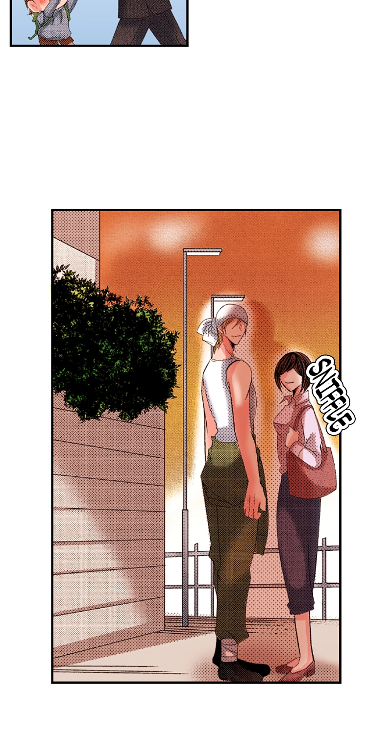 Kyousei Kekkon - Gaten Nikushoku Danshi x Interi Soushoku Joshi Chapter 101 page 38 - 