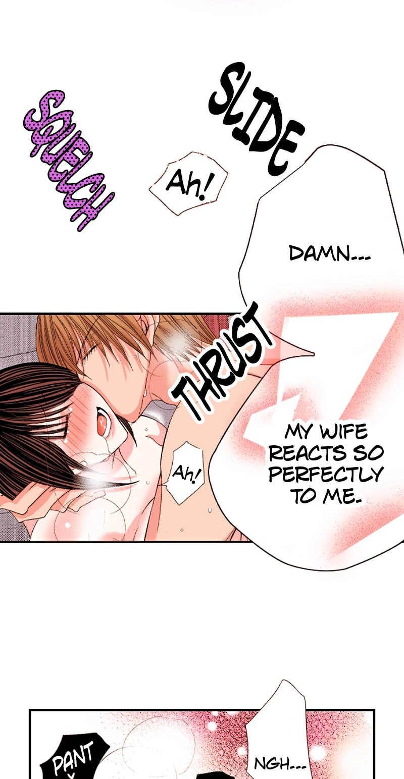 Kyousei Kekkon - Gaten Nikushoku Danshi x Interi Soushoku Joshi Chapter 102 page 27 - 