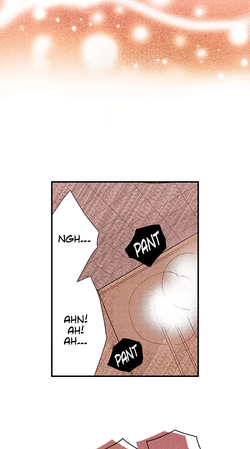 Kyousei Kekkon - Gaten Nikushoku Danshi x Interi Soushoku Joshi Chapter 104 page 20 - 