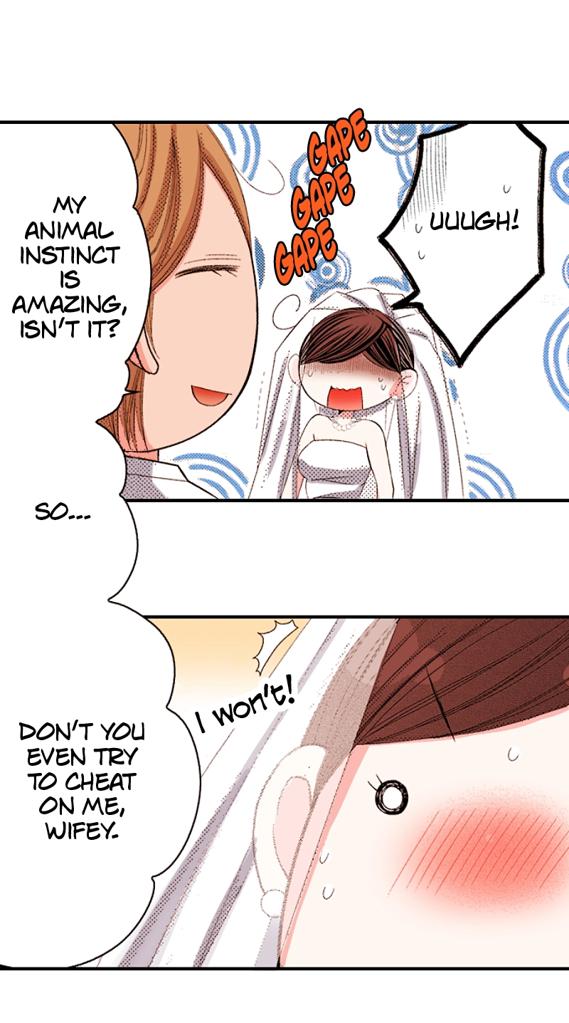 Kyousei Kekkon - Gaten Nikushoku Danshi x Interi Soushoku Joshi Chapter 107 page 33 - 
