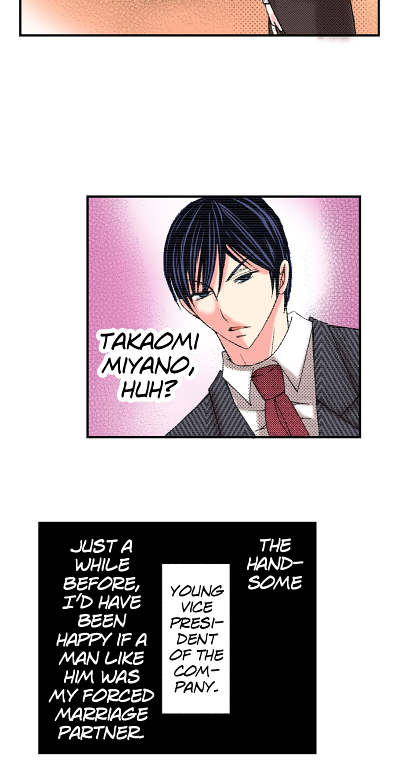 Kyousei Kekkon - Gaten Nikushoku Danshi x Interi Soushoku Joshi Chapter 12 page 21 - 