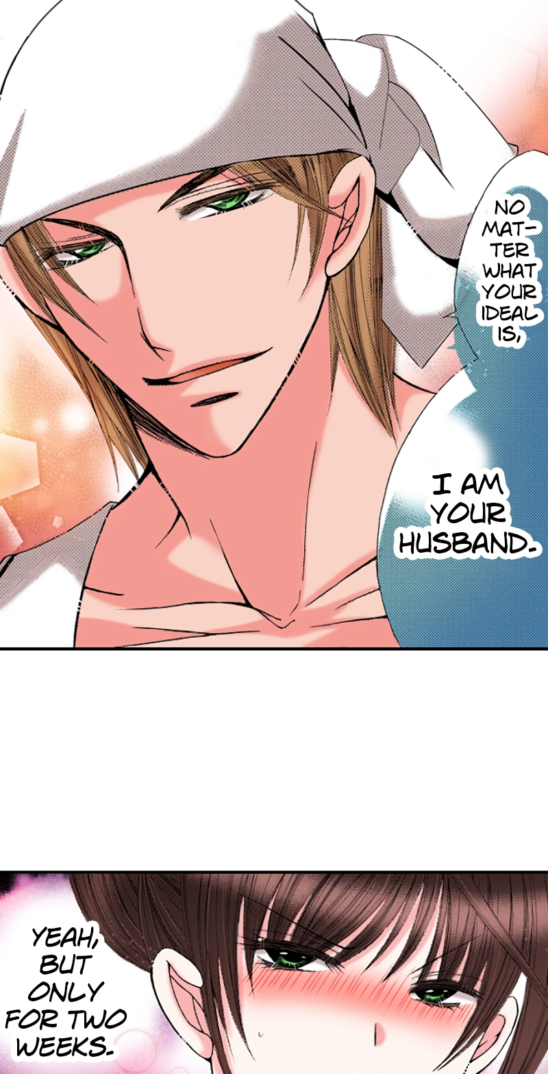Kyousei Kekkon - Gaten Nikushoku Danshi x Interi Soushoku Joshi Chapter 13 page 13 - 