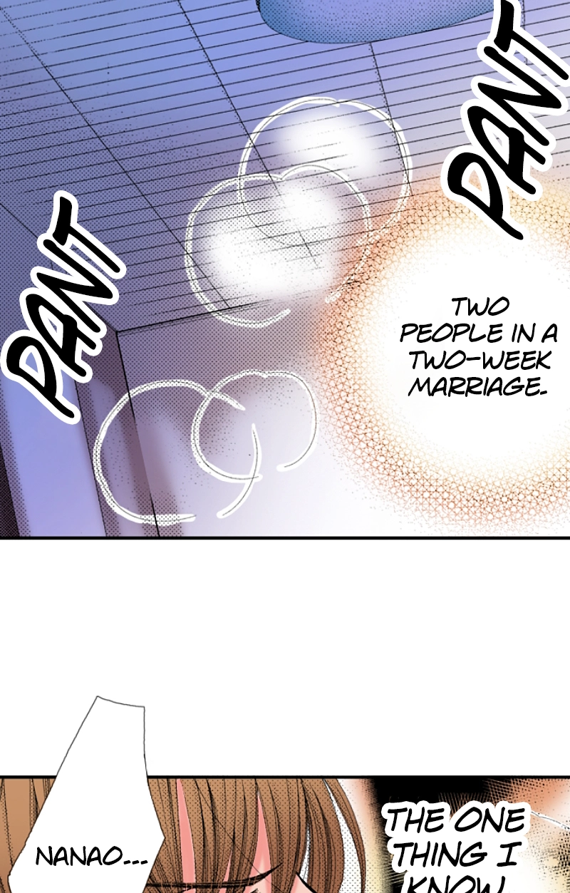 Kyousei Kekkon - Gaten Nikushoku Danshi x Interi Soushoku Joshi Chapter 14 page 38 - 