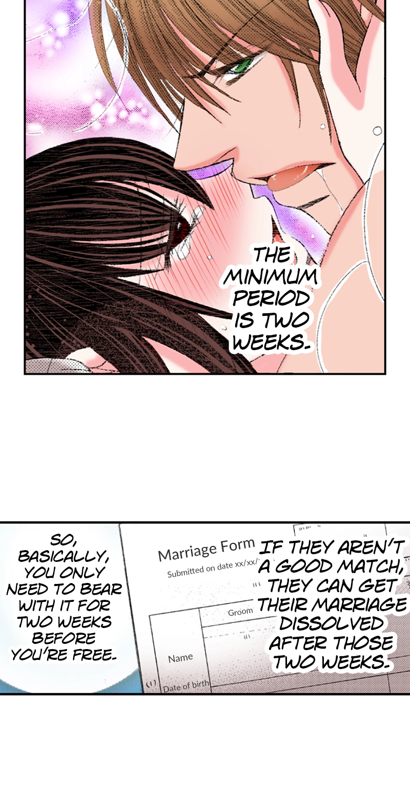 Kyousei Kekkon - Gaten Nikushoku Danshi x Interi Soushoku Joshi Chapter 15 page 5 - 
